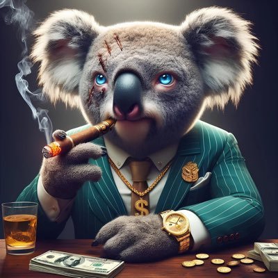 Foto de Koala picks